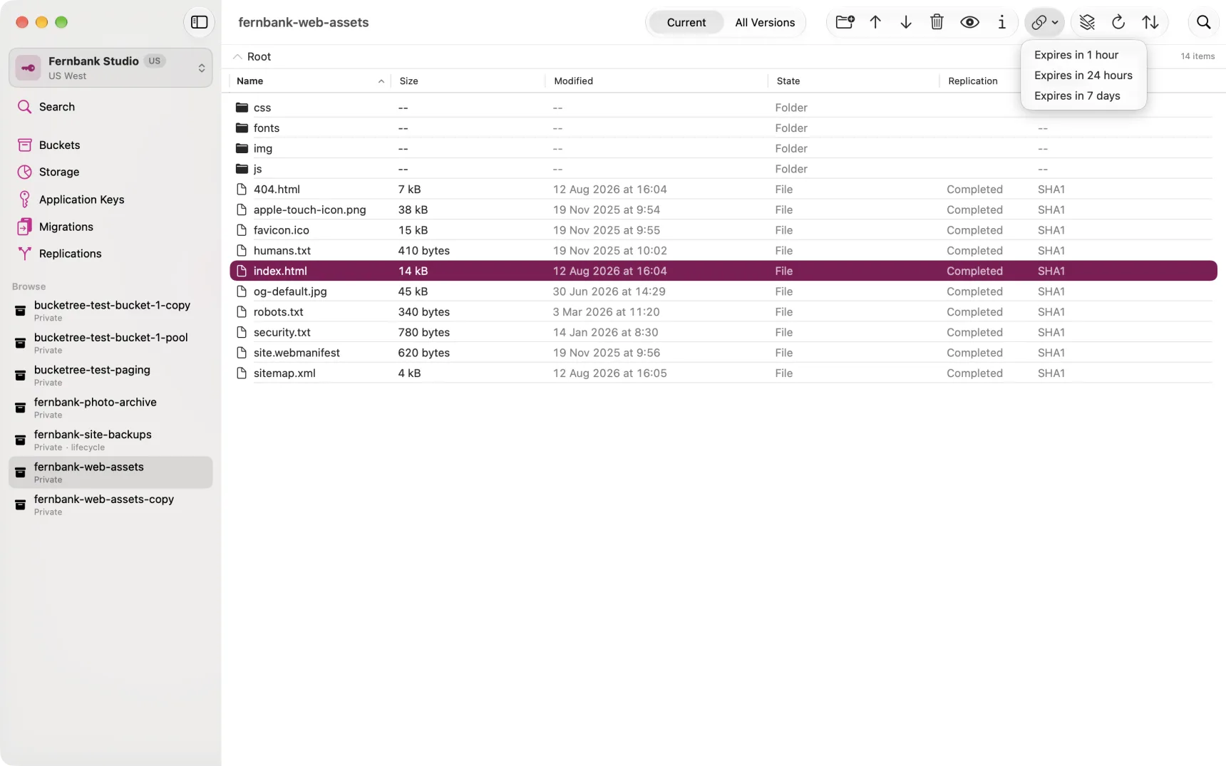 The Copy Share Link menu, offering 1 hour, 24 hours and 7 days.