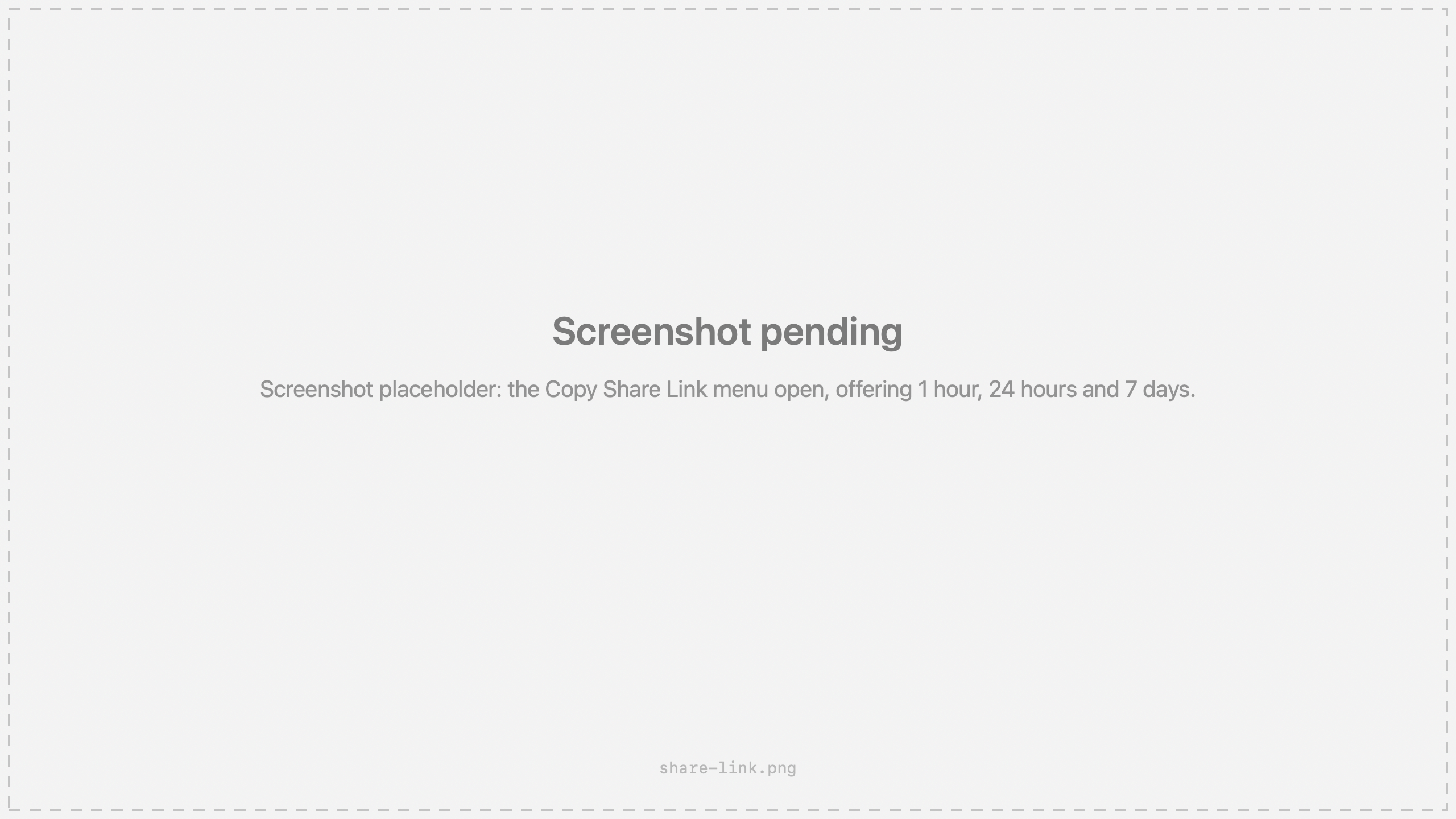 Screenshot placeholder: the Copy Share Link menu open, offering 1 hour, 24 hours and 7 days.
