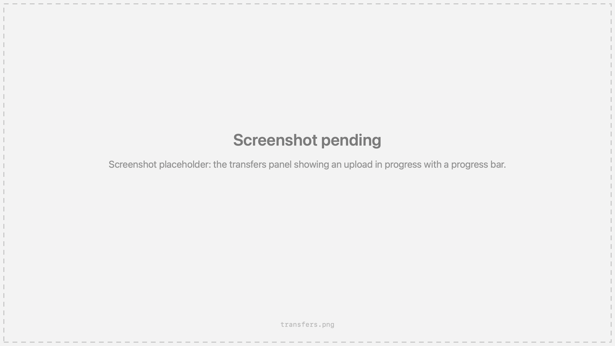 Screenshot placeholder: the transfers panel showing an upload in progress with a progress bar.